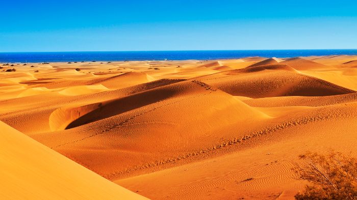 gran canaria