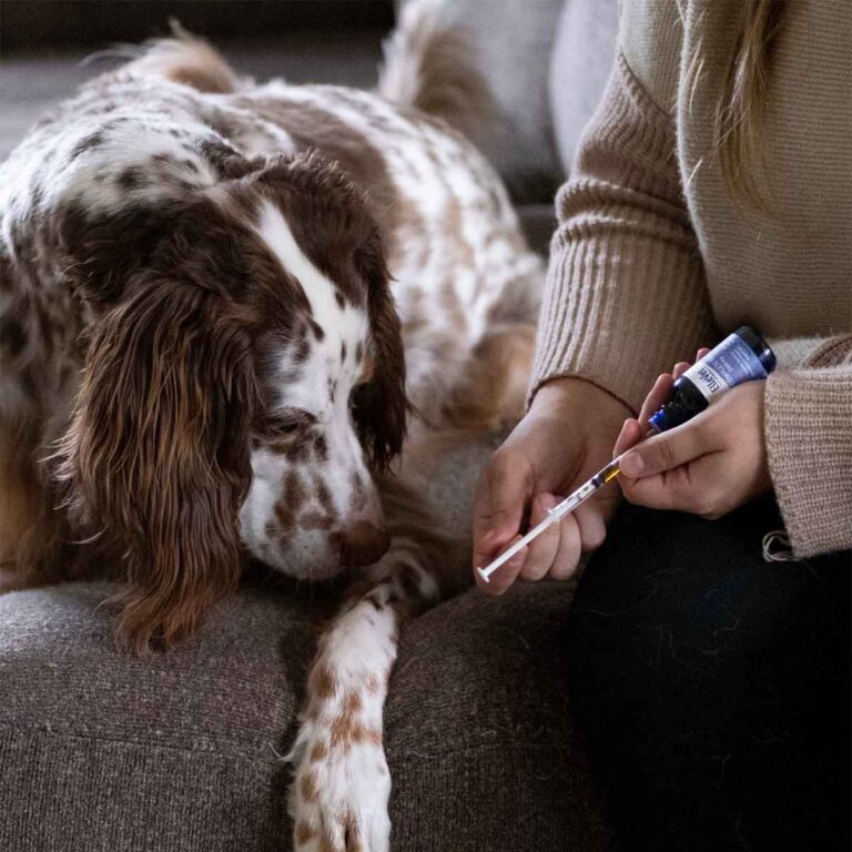 Aceite de CBD + CBDA para perros
