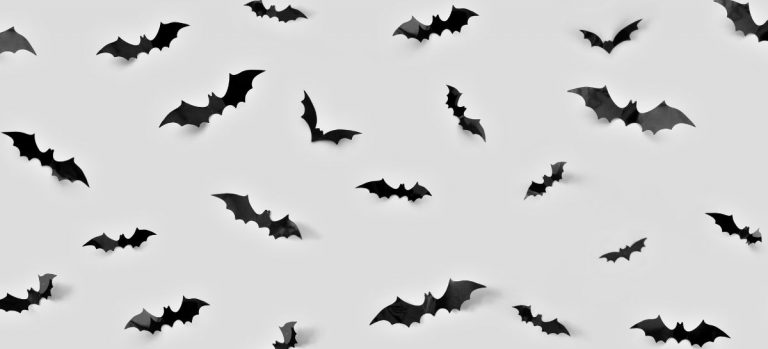 Ofertas Lidl Halloween 2025