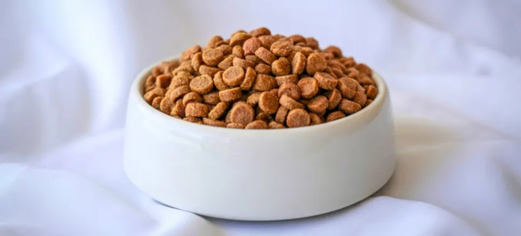 Pienso sin cereales para perros y gatos para elegir bien en 2026