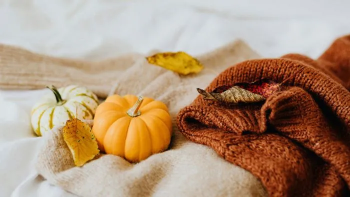 Cómo decorar tu hogar este otoño 2026 textiles
