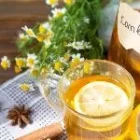 Plan Amigo: hasta -50% en tu suscripción – Mun Kombucha